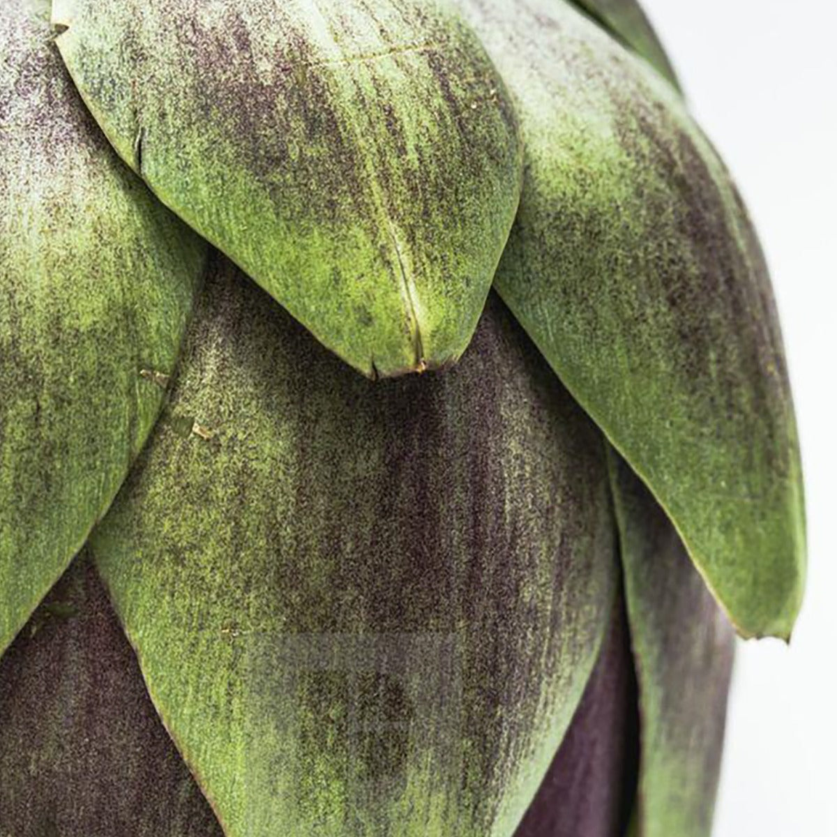 CARE DERMA REGULATE SEBUM REGULATING SHAMPOO 1L