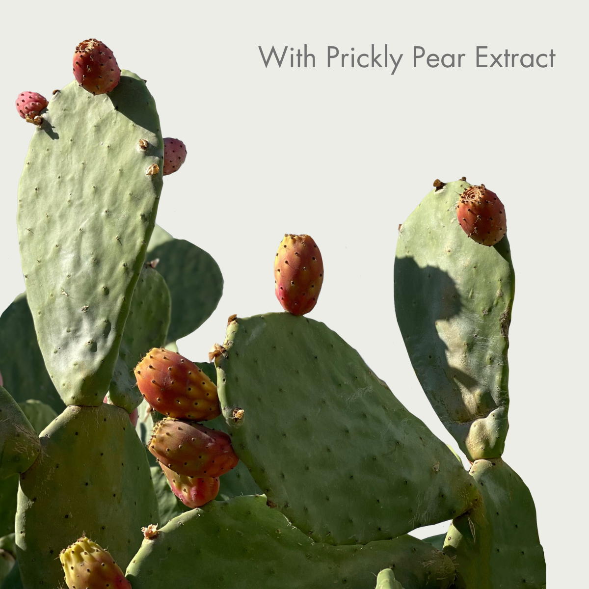 SO PURE RESTORE CONDITIONER REFILL 400ml